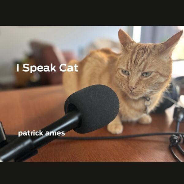 Cover art for I Speak Cat