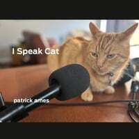 I Speak Cat